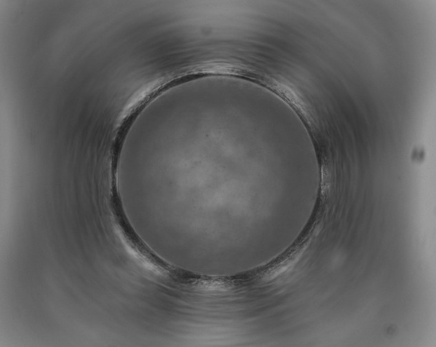X0000090930349200707301600