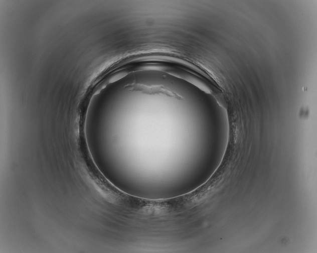 X0000090930350200707301600