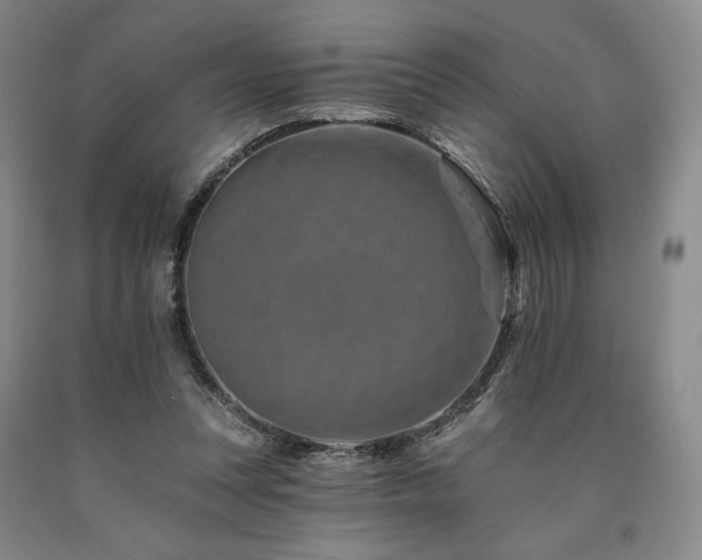 X0000090930351200707301600