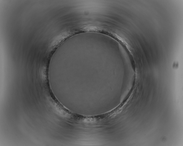 X0000090930353200707301600