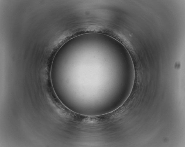 X0000090930354200707301600