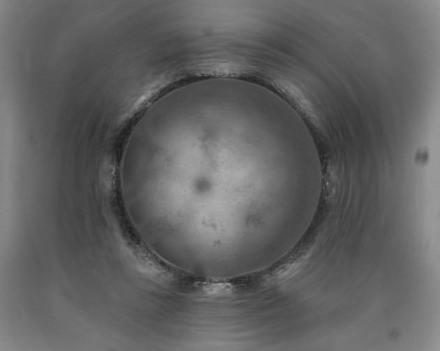 X0000090930355200707301600