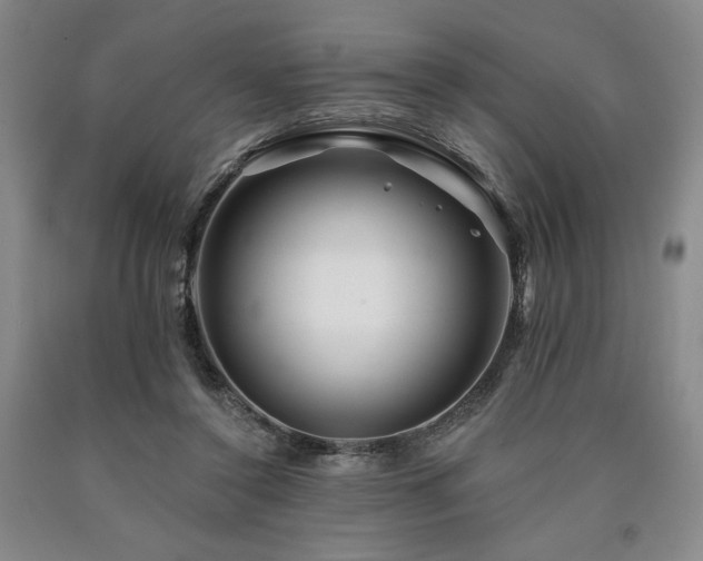 X0000090930356200707301600