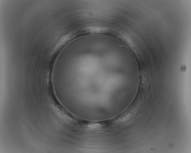 X0000090930357200707301600
