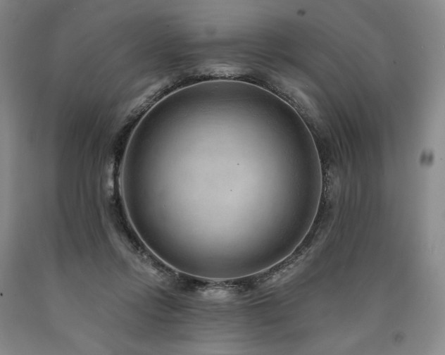 X0000090930358200707301600