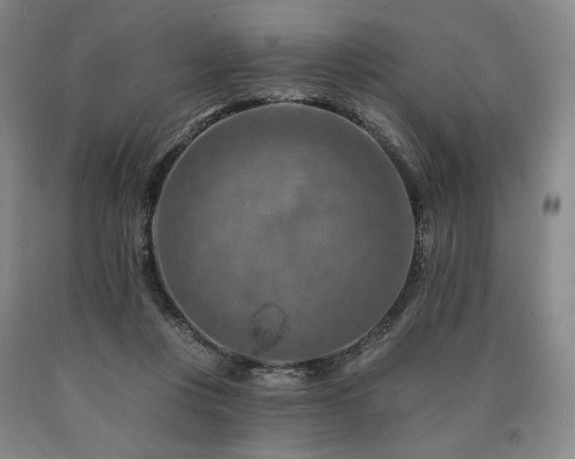 X0000090930359200707301600