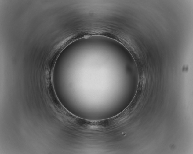 X0000090930360200707301600