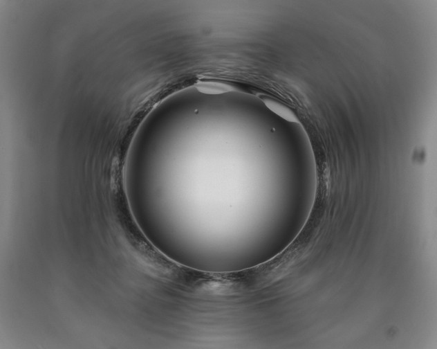 X0000090930364200707301600