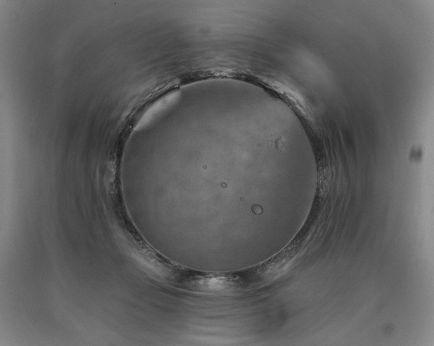 X0000090930365200707301600
