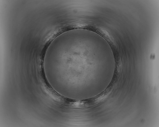 X0000090930366200707301600