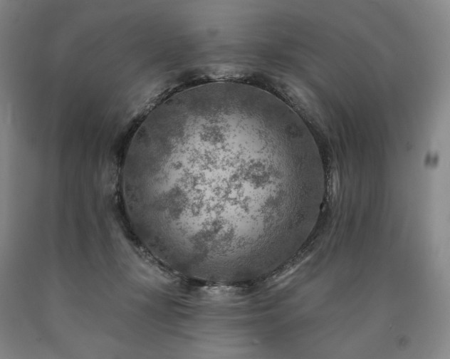 X0000090930367200707301600