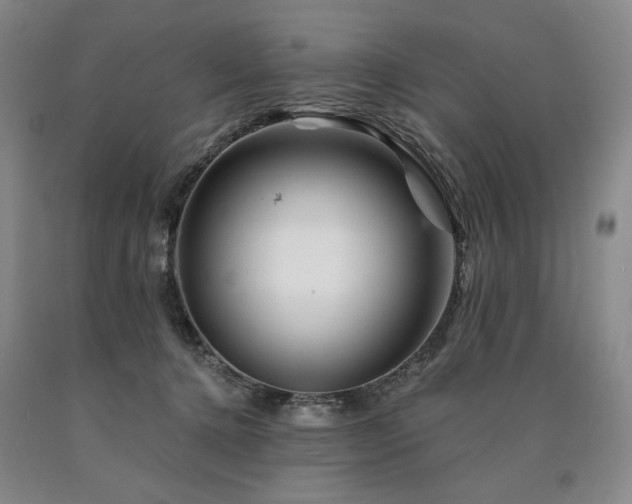 X0000090930368200707301600