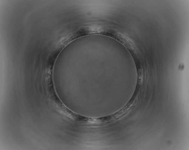 X0000090930369200707301600