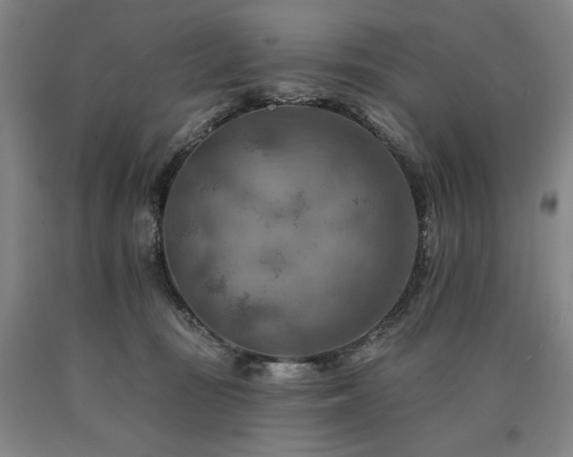 X0000090930371200707301600