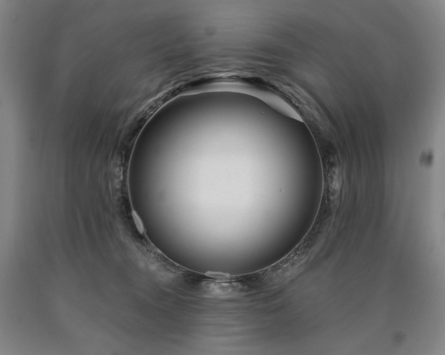 X0000090930372200707301600