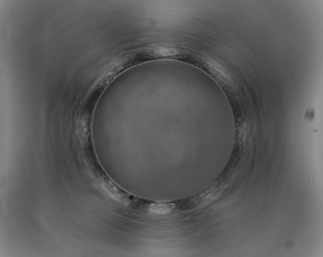 X0000090930373200707301600