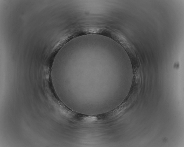X0000090930374200707301600