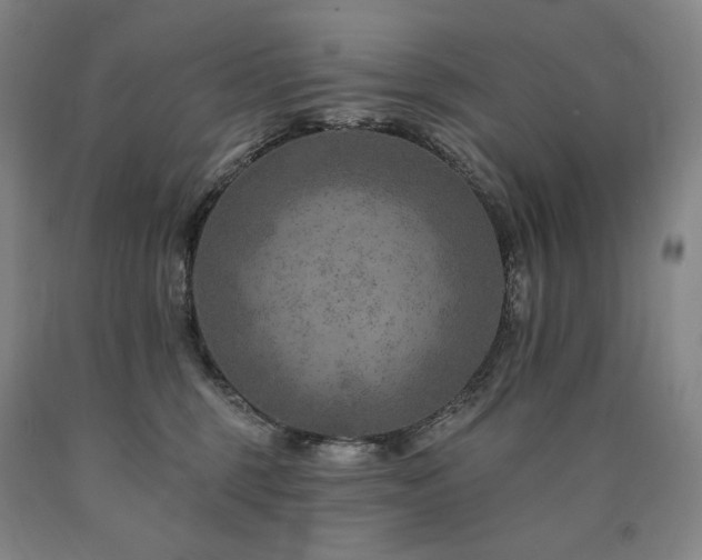 X0000090930375200707301600