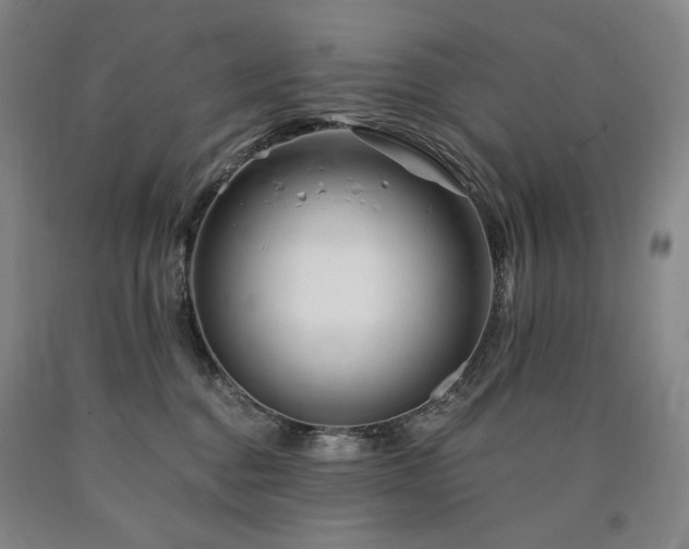 X0000090930376200707301600