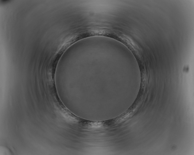 X0000090930377200707301600