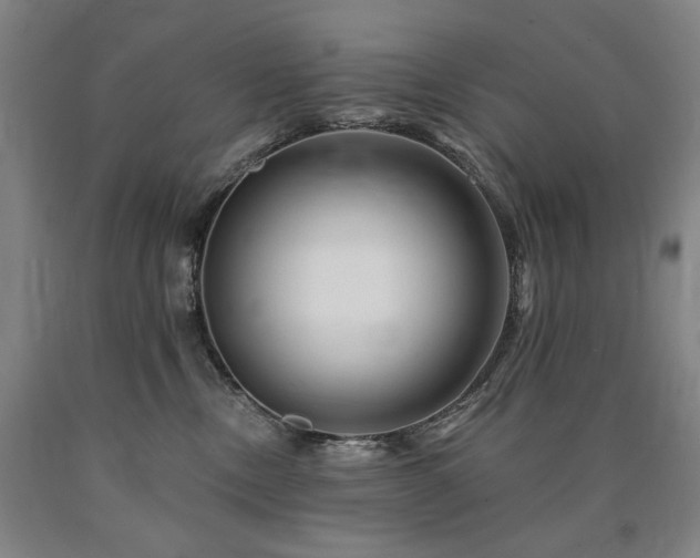 X0000090930378200707301600