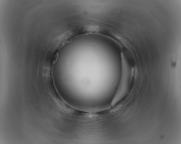 X0000090930379200707301600