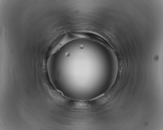 X0000090930380200707301600