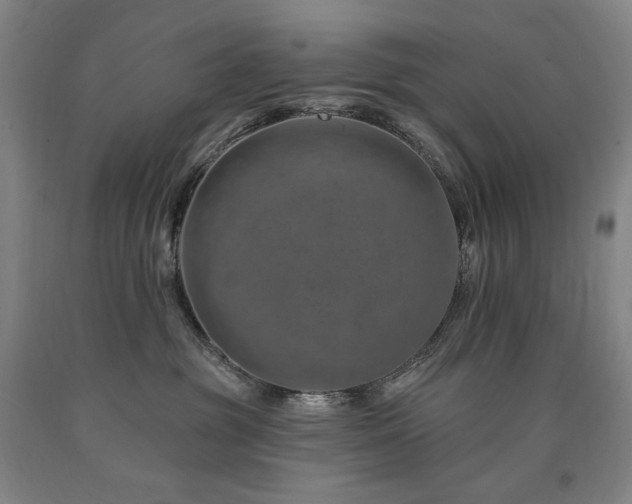 X0000090930381200707301600