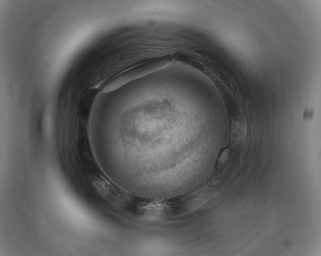 X0000090930383200707301600