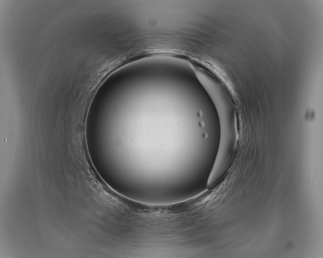 X0000090930385200707301600