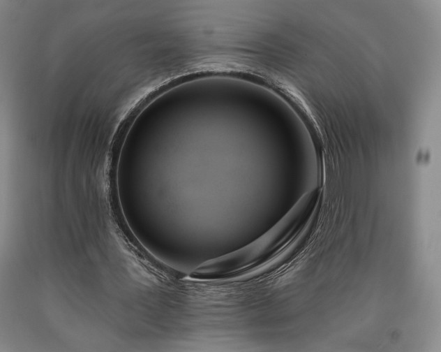 X0000090930387200707301600