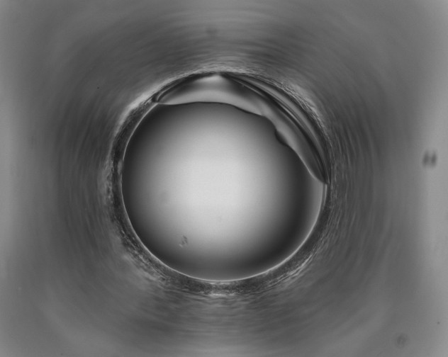 X0000090930388200707301600