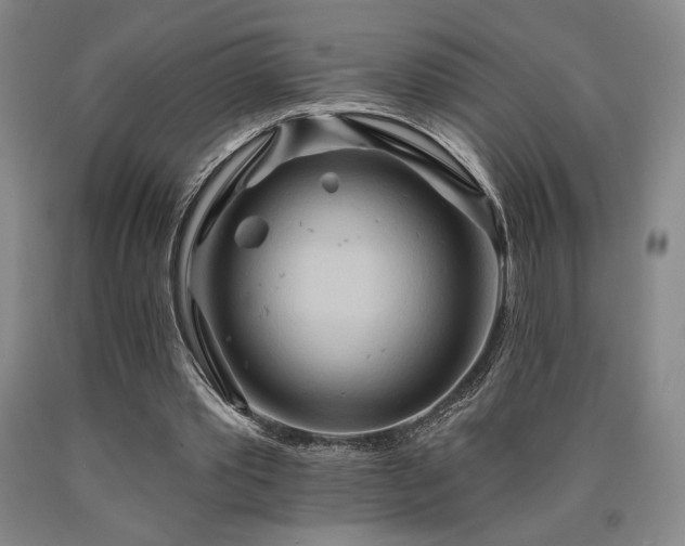 X0000090930389200707301600