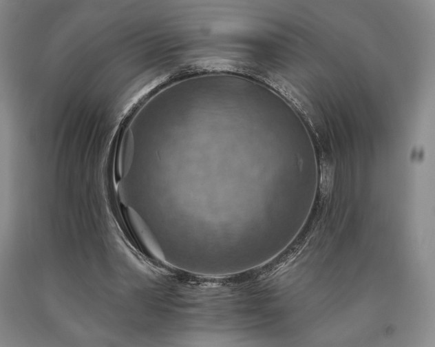 X0000090930390200707301600