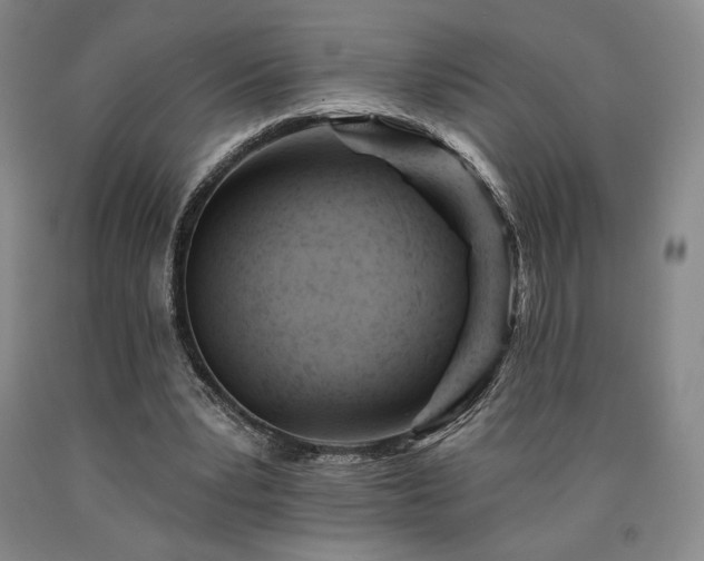 X0000090930391200707301600