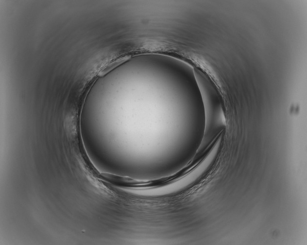 X0000090930393200707301600