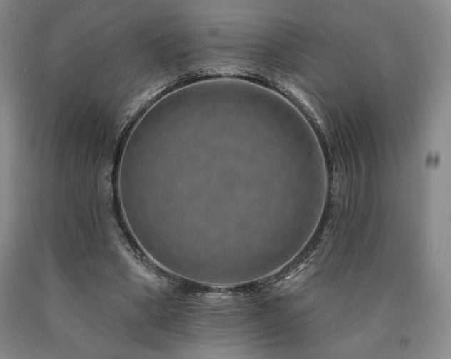 X0000090930394200707301600