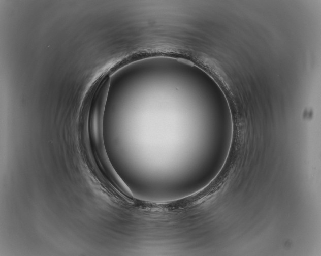 X0000090930395200707301600