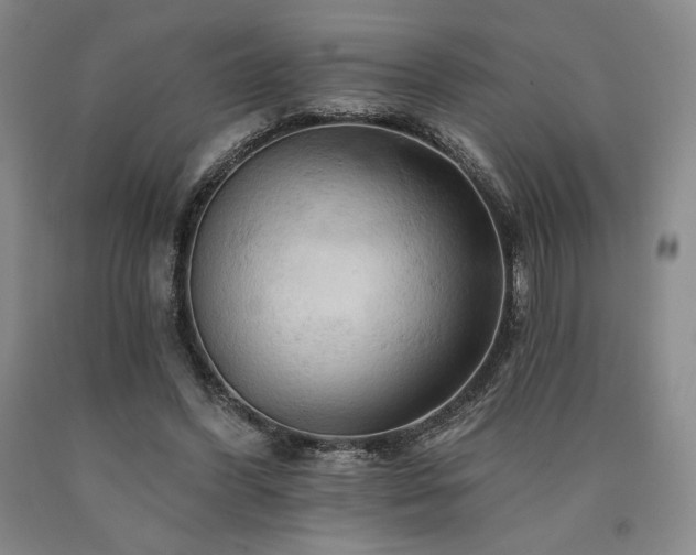 X0000090930396200707301600