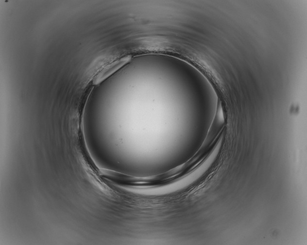 X0000090930397200707301600