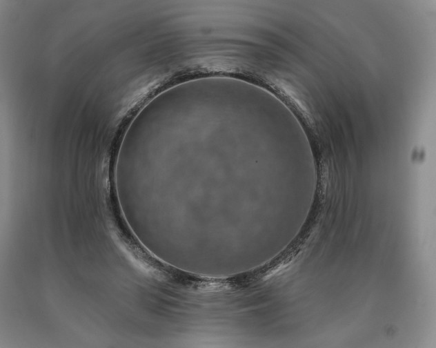 X0000090930398200707301600