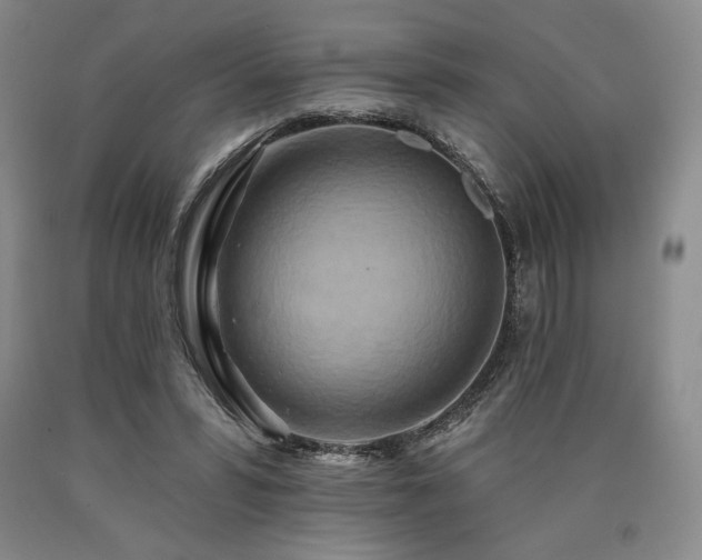 X0000090930399200707301600