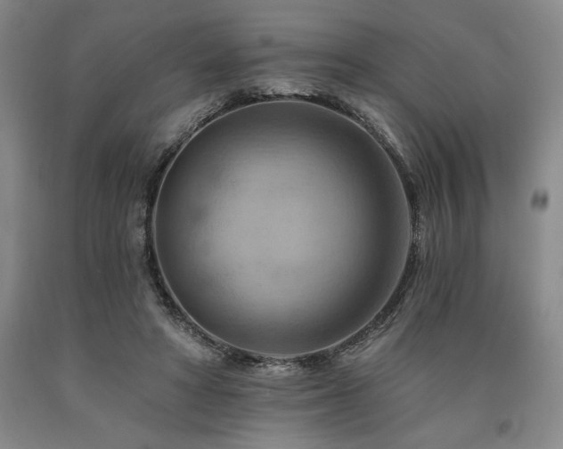 X0000090930402200707301600