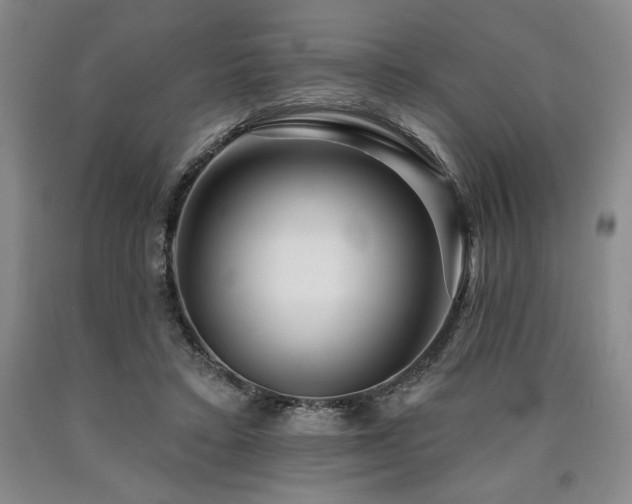 X0000090930403200707301600