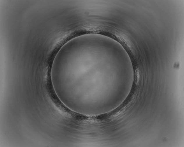 X0000090930404200707301600
