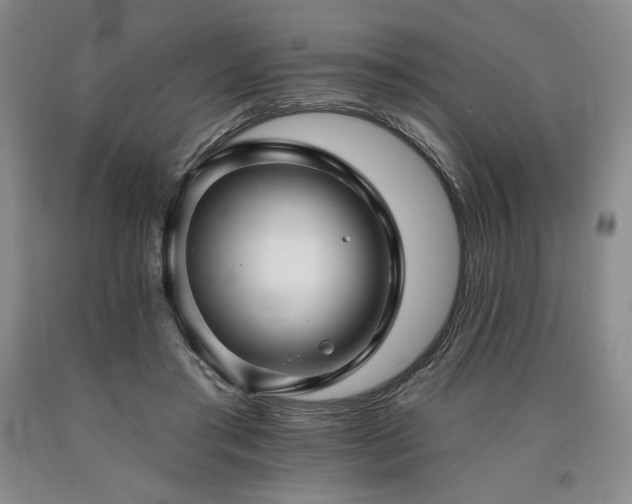 X0000090930405200707301600