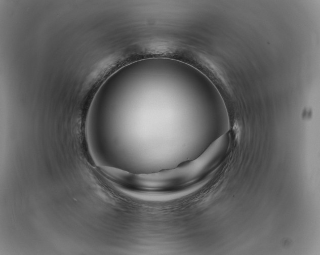 X0000090930407200707301559