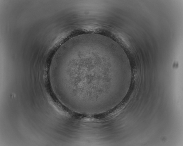 X0000090930408200707301559