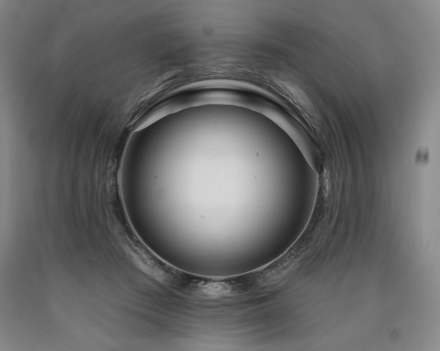 X0000090930409200707301559
