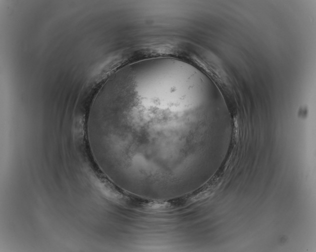 X0000090930410200707301559